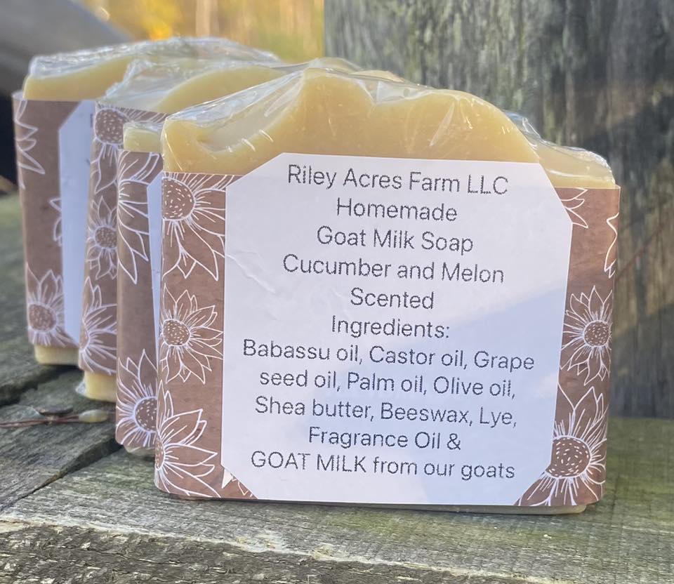 Cucumber and Melon Scented Goat Milk Soap Bar