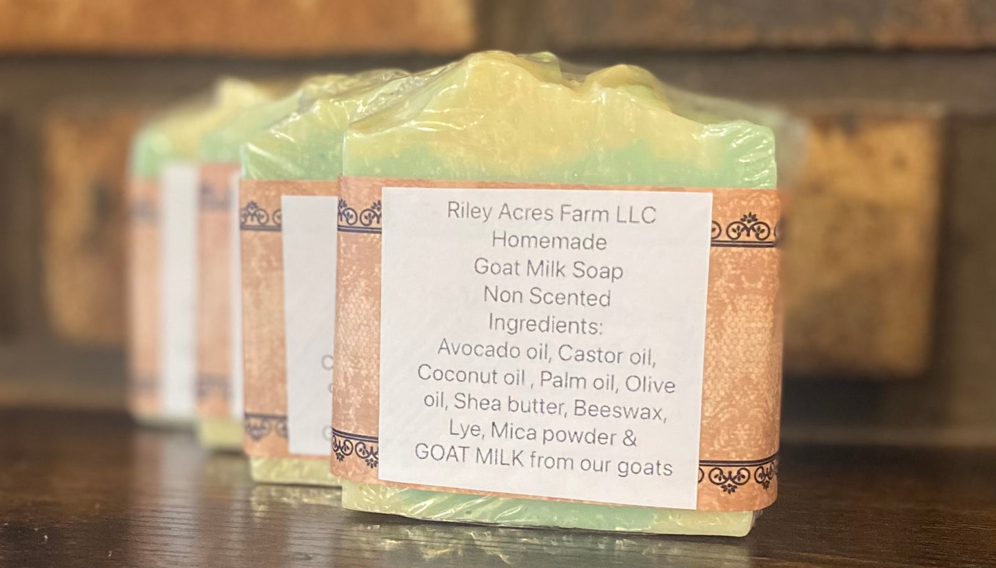 Fun Non Scented Goat Milk Soap Bar