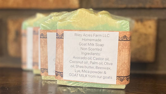 Fun Non Scented Goat Milk Soap Bar